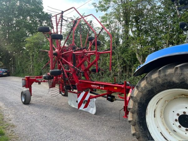 Lely Hibiscus Rake - Image 6