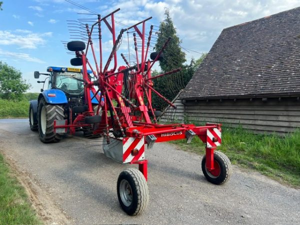Lely Hibiscus Rake - Image 3