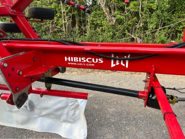 Lely Hibiscus Rake - Image 10