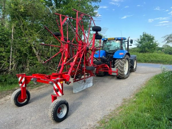Lely Hibiscus Rake - Image 5
