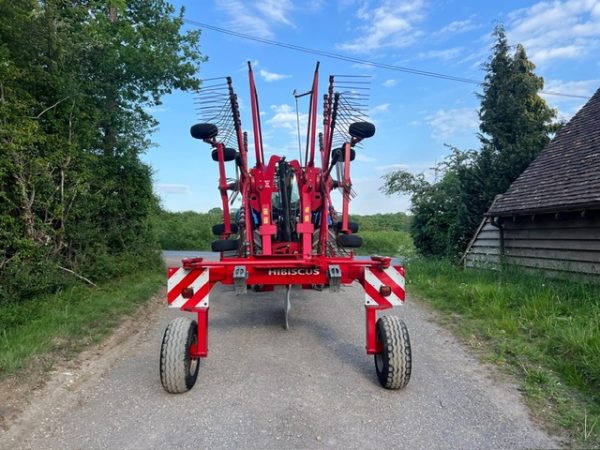 Lely Hibiscus Rake - Image 4